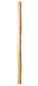 Natural Finish Didgeridoo (TW1770)